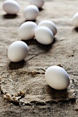 White eggs on a piece of jute