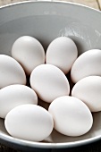 Mehrere weiße Eier in einer Schüssel