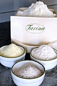 An arrangement of various types of flour