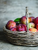 Plums in basket