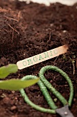 A label with the word 'organic' and herb scissors in soil