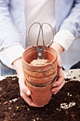 Hands holding plant pots with twine and scissors