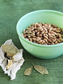 Bowl of Pinto Beans; Garlic, Peppercorns and Bay Leaves