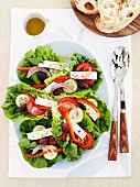 Griechischer Salat (Draufsicht)