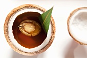 Kokos-Hähnchen-Suppe mit Abalone (China)