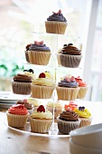 Various cupcakes on a cake stand