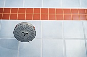 Showerhead in blue and orange tiled shower