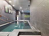 Indoor pool in minimalist building