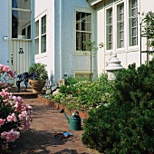 Paved garden path leading to front door through well-tended, summery front garden