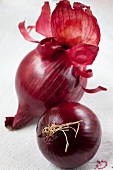 Two red onions