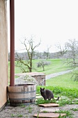 Katze vor Regentonne mit Regenfallrohr vor Haus und Blick in die Landschaft