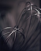 A whisk (close-up)