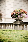 Bepflanzte, klassizistische Schale auf Balustrade vor einem Gebäude