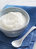 Bowl of Plain Greek Yogurt with a Ceramic Spoon