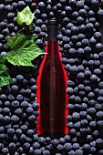 A bottle of red wine surrounded by red wine grapes