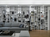 Modern living room with wall length bookcase