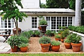 Pflanzen in verschiedenen Tontöpfen auf gekiester Terrasse vor Wohnhaus mit Terrassensprossentüren