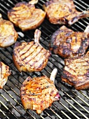 Spicy pork chops on a barbecue