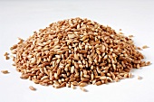 Pile of Farro on a White Background