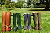 Pairs of boots standing in field