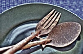Wooden cutlery on a plate (Asia)