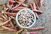 Borlotti beans, pods and beans in a bowl