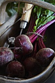 Beetroot in a wooden basket