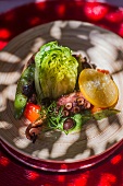 Warm vegetable salad with octopus
