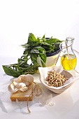 Fresh Ingredients; Basil, Pine Nuts, Olive Oil and Salt