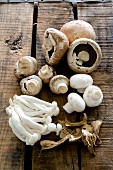 Button mushrooms, shimeji mushrooms and dried porcini mushrooms