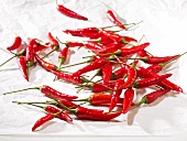 Fresh red chilli peppers
