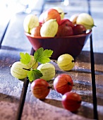 Red and green gooseberries in a bowl and in front of it