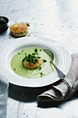 Pea soup with croutons