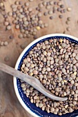 Brown Lentils in a Bowl with a Wooden Spoon