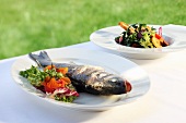 Steam bass with a Mediterranean bread salad