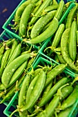 Organic Heirloom Sugar Snap Peas at a Farmers Market