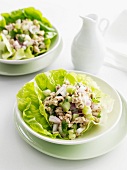 Plate of rice and vegetables in lettuce