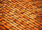 Clay Roof Tiles