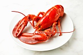 A lobster on a plate
