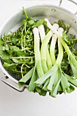 Spring onions and rocket in a colander