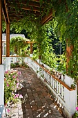 Plant-Covered Walkway