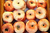 Vineyard peaches