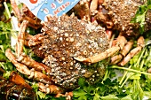 Ring Crabs with Barnacles on the Shell; At a Market in Spain