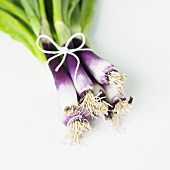 Organic Purple Scallions