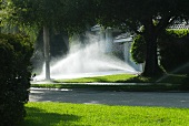 Sprinkler bewässern den Rasen vor einem Haus