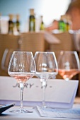 A row of wine glasses for wine tasting