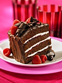 A slice of chocolate and raspberry cake