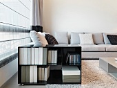 Open rolling storage container next to a window with a curtain and a modern sofa in a living room