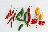 Different coloured chillies