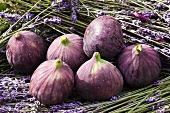 Red figs with lavender